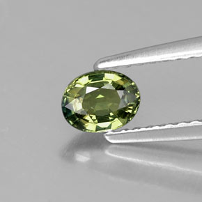 0.51 ct Green Sapphire Gemstone, Sapphire Gem in Oval Facet Shape for Sale.