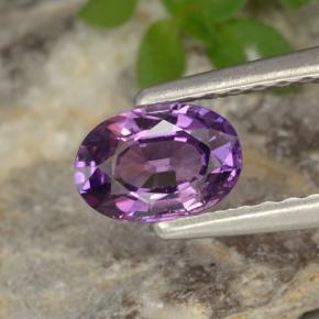 Vivid Pink Violet Sapphire Gem - 0.6ct Oval Facet (ID: 315649)