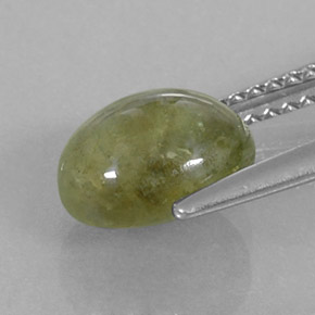 Sapphire Gemstone in 8.7 x 7 mm Size for Sale, Sapphire Stone in Yellowish Green Color