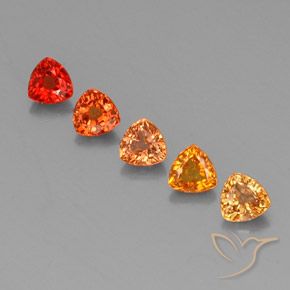 1.75 ctw Multicolor Sapphire Gemstones, Sapphire Gems in Trillion Facet Shape for Sale.