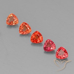 1.76 ctw Multicolor Sapphire Gemstones, Sapphire Gems in Trillion Facet Shape for Sale.