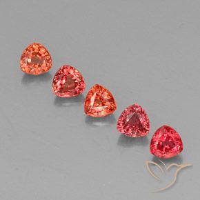 Rojo escarlata Zafiro Gema - 0.4ct Forma trillón (ID: 330572)