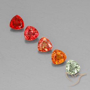 1.69 ctw Multicolor Sapphire Gemstones, Sapphire Gems in Trillion Facet Shape for Sale.
