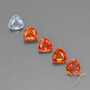 1.71 ctw Multicolor Sapphire Gemstones, Sapphire Gems in Trillion Facet Shape for Sale.