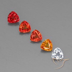 1.64 ctw Multicolor Sapphire Gemstones, Sapphire Gems in Trillion Facet Shape for Sale.