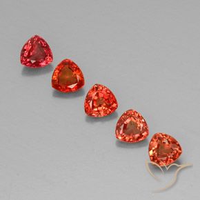 1.70 ctw Red Sapphire Gemstones, Sapphire Gems in Trillion Facet Shape for Sale.