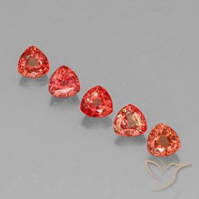 2.04 ctw Red Sapphire Gemstones, Sapphire Gems in Trillion Facet Shape for Sale.
