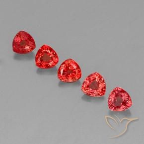 1.83 ctw Red Sapphire Gemstones, Sapphire Gems in Trillion Facet Shape for Sale.