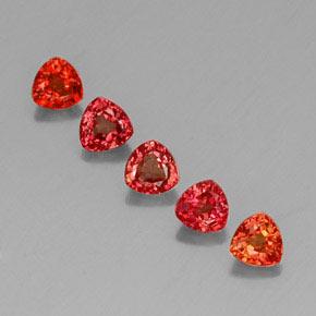 Orange rougeâtre Saphir gemme - 0.4ct Facette trillion (ID: 330679)