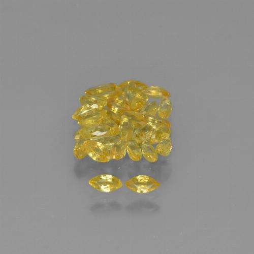 Yellow Sapphire Gem - 0.1ct Marquise Facet (ID: 345606)