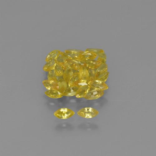 Jaune Saphir gemme - 0.1ct Marquise facette (ID: 345616)