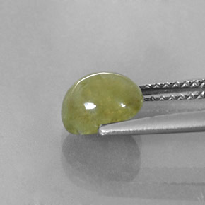 Sapphire Gemstone in 7.5 x 6.5 mm Size for Sale, Sapphire Stone in Yellowish Green Color