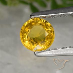 0.64 ct Golden Sapphire Stone, Natural Sapphire in Round Facet Shape for Sale