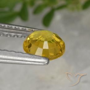 Sapphire Gemstone in 5 mm (calibrated) Size for Sale, Sapphire Stone in Golden Color