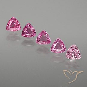 1.53 ctw Pink Sapphire Gemstones, Sapphire Gems in Trillion Facet Shape for Sale.