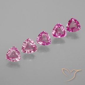 1.30 ctw Pink Sapphire Gemstones, Sapphire Gems in Trillion Facet Shape for Sale.