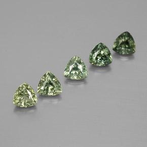 Sage Green Zaffiro Gem - 0.4ct Sfaccettatura trilliant (ID: 373519)