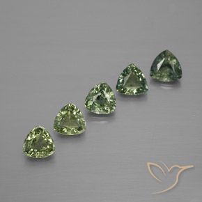1.67ctw Natural Light Forest Green Sapphire, Trillion, VS