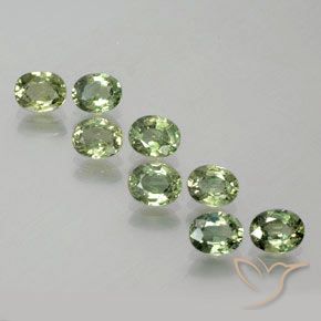 Set aus 8 Stück ovaler Saphir in grüner Farbe aus Madagaskar - Größe 4,9 x 3,9mm, Gewicht 3,47 ct gesamt / Durchschn. je 0,43 ct, Farbe: Tiefgrün, Mohs-Härte 9 Geeignet für den täglichen Gebrauch im Schmuck, Sternzeichen Stier, Photo A