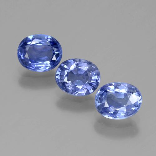 Deep Blue Sapphire Gem - 0.8ct Oval Facet (ID: 389581)