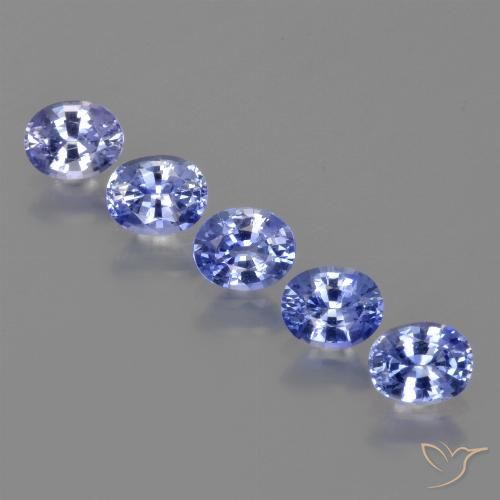 Lote de 5 piezas de Zafiro Azul púrpura eléctrico Ovalada de Sri Lanka - Tamaño 5,1 x 4,1mm, peso 2,32 ct en total / promedio. 0,46 ct cada uno, dureza de Mohs 9 Adecuado para joyas de uso diario, Exhibe gran brillo, Photo A