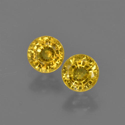 Jaune miel Saphir gemme - 0.5ct Facette ronde (ID: 420807)