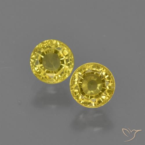 Bumblebee Yellow Sapphire Gem - 0.5ct Round Facet (ID: 420809)
