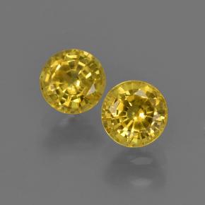 Light Honey Yellow Saphir Edelstein - 0.5ct Rund Facettenschliff (ID: 420832)