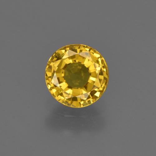 Deep Yellow Sapphire Gem - 0.8ct Round Facet (ID: 420946)