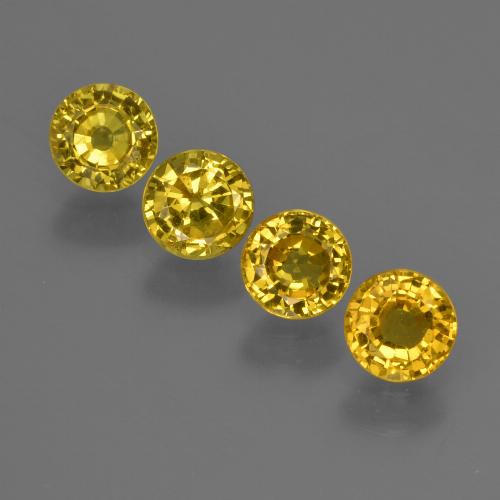 Honey Yellow Sapphire Gem - 0.5ct Round Facet (ID: 421019)