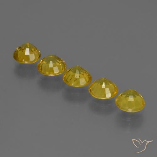 Sapphire Gemstones in 5 mm (calibrated) Size for Sale, Sapphire Stones in Light Honey Yellow Color