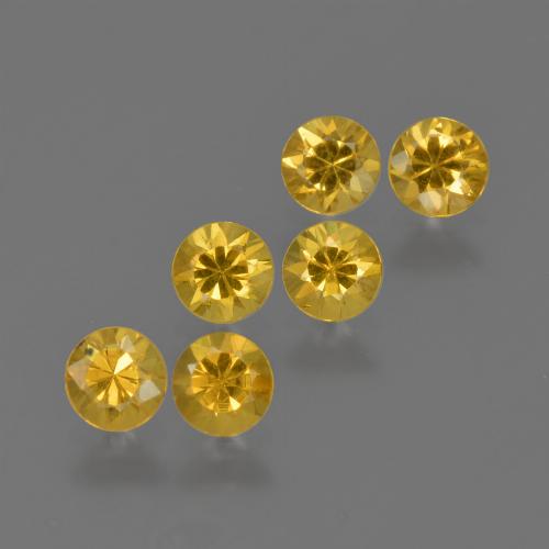 Lotto di 6 pezzi di zaffiro dorato taglio rotondo Zaffiro - Peso 1,31 ct totali / media. 0,22 ct ciascuno, misura 3,6mm, colore: Dorato, durezza Mohs 9 adatto per gioielli da indossare ogni giorno, Giovedì Gemma, Photo A
