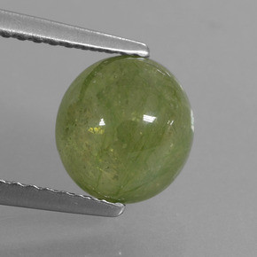 3.1ct Oval Cabochon Yellowish Green Sapphire Gem for sale 3.1ct Oval Cabochon Yellowish Green Sapphire Gem (ID: 427869)