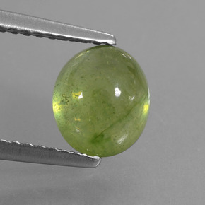2.7ct Oval Cabochon Yellowish Green Sapphire for sale thumb image of 2.7ct Oval Cabochon Yellowish Green Sapphire (ID: 427870)