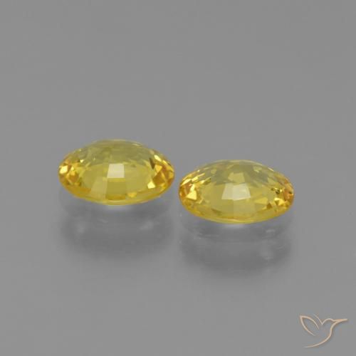Sapphire Gemstones in 6.1 x 5.1 mm Size for Sale, Sapphire Stones in Medium Yellow Color