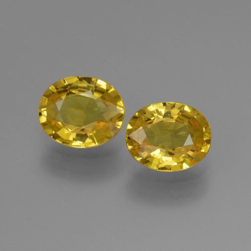 Golden Sapphire Gem - 0.8ct Oval Facet (ID: 443538)