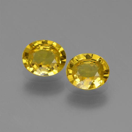 Yellowish Gold Sapphire Gem - 0.6ct Oval Facet (ID: 443542)