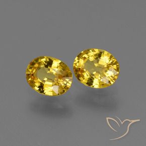 1.43 ctw Yellow Sapphire Stones, Natural Sapphire in Oval Facet Shape for Sale