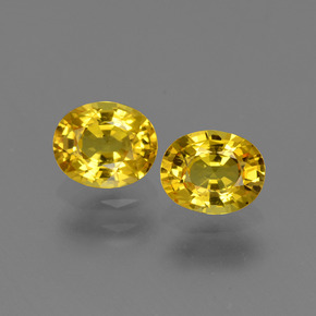 Yellowish Gold Sapphire Gem - 0.8ct Oval Facet (ID: 443825)