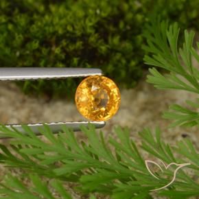 0.73 ct Golden Sapphire Stone, Natural Sapphire in Round Facet Shape for Sale