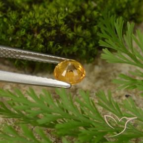 Sapphire Gemstone in 5 mm (calibrated) Size for Sale, Sapphire Stone in Dark Orange-Gold Color