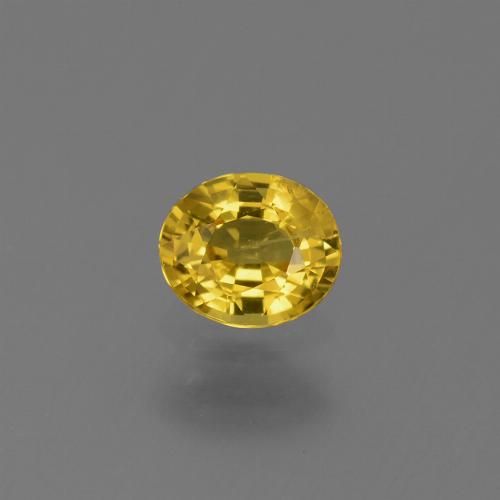 薄いハニーイエロー サファイア 宝石 - 0.7ct オーバル ファセット (ID: 443996)