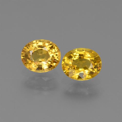 Golden Sapphire Gem - 0.8ct Oval Facet (ID: 444181)
