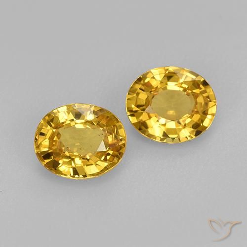 Golden Sapphire Gem - 0.8ct Oval Facet (ID: 444262)