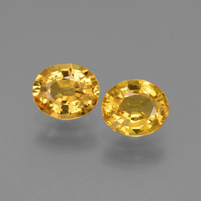 Golden Sapphire Gem - 0.8ct Oval Facet (ID: 444638)