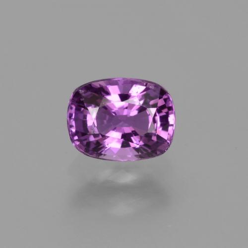 1.3ct Cushion-Cut Purple Sapphire Gem for sale 1.3ct Cushion-Cut Purple Sapphire Gem (ID: 448500)
