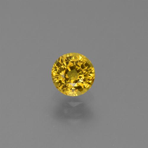Medium Yellow Zaffiro Gem - 0.8ct Sfaccettatura rotonda (ID: 453232)