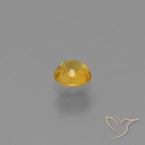 Sapphire Gemstone in 5 mm (calibrated) Size for Sale, Sapphire Stone in Golden Color
