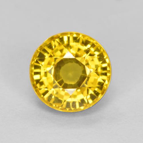 Honey Yellow Saphir Edelstein - 0.7ct Rund Facettenschliff (ID: 453275)