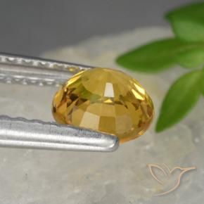 Sapphire Gemstone in 5.5 mm (calibrated) Size for Sale, Sapphire Stone in Dark Golden Color